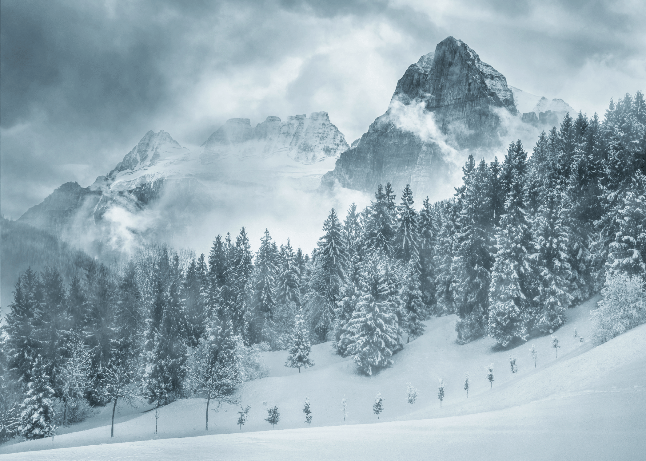 Winter Landscape